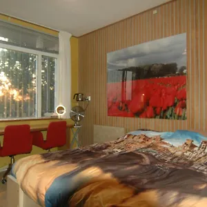Bed and breakfast Tulip Gallery